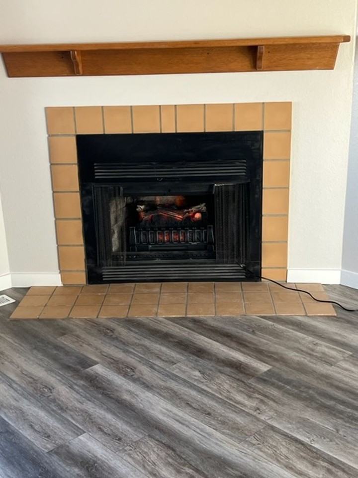 1243 Soaring Eagle Dr - Photo 4 of 22