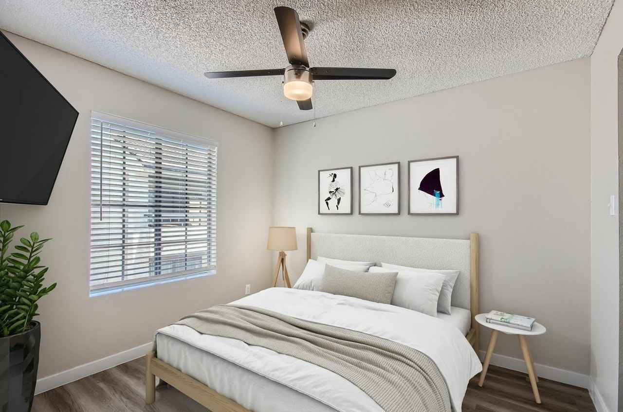 Rise on Cactus - Photo 6 of 50