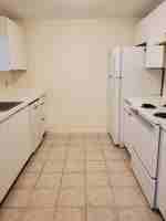 featured image of Janine Dr