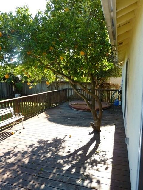 380 Santa Barbara Shores Dr - Photo 7 of 10