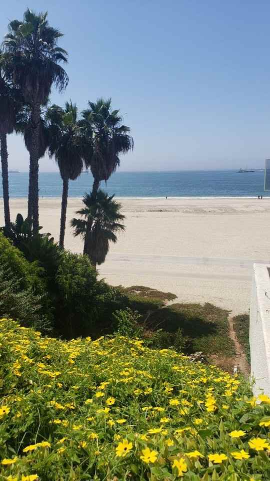 1250 E Ocean Blvd #202 - Photo 7 of 9