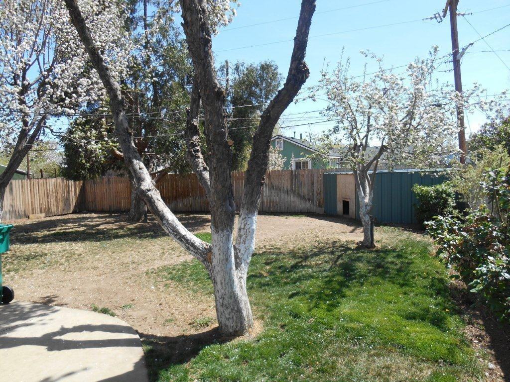 1230 Haddock Dr - Photo 2 of 17