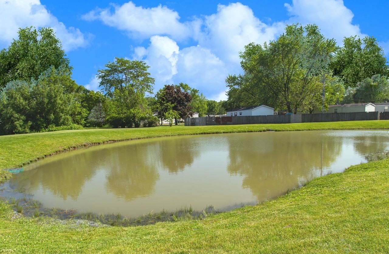 Alpine Village - Photo 6 of 14