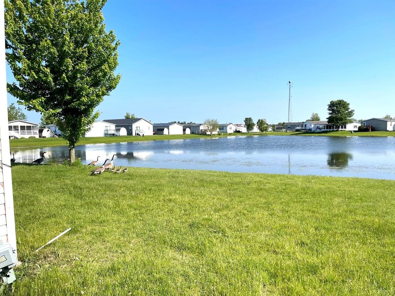 Paradise Park - Photo 4 of 15