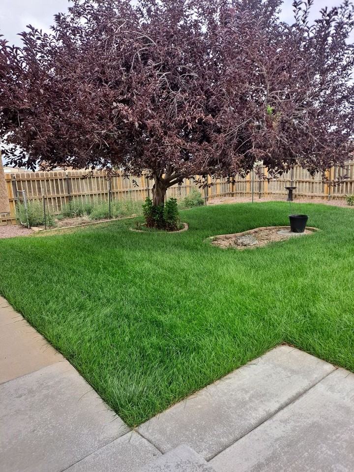 1153 W Buena Ventura Ct - Photo 3 of 31