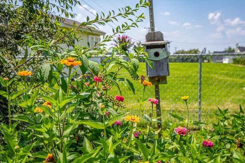 8140 Holly Crest Dr - Photo 5 of 46