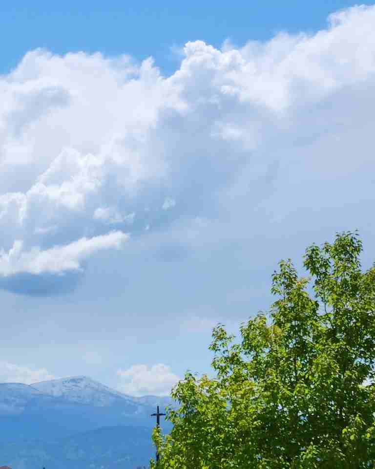 834 W Pine St - Photo 2 of 14