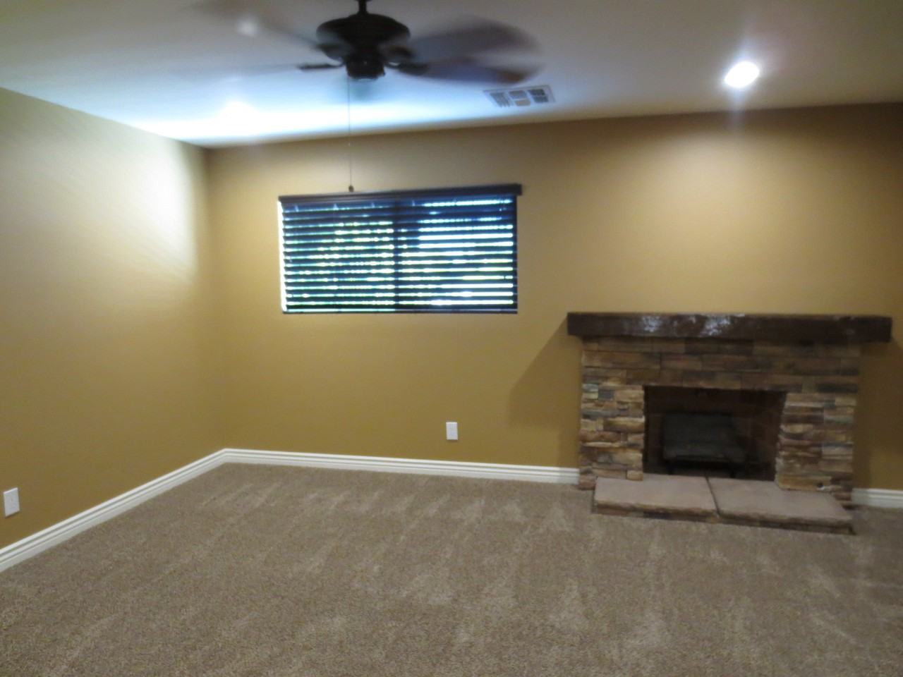 238 E Ellis Dr - Photo 4 of 50