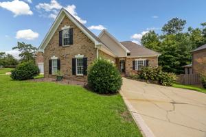 featured image of 218 Hilton Village Dr