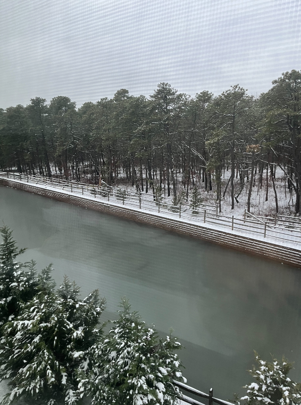 405 Spirit Way - Photo 2 of 15