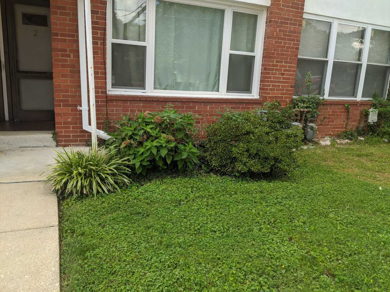 127 Webster Street Northeast #NA - Photo 2 of 11