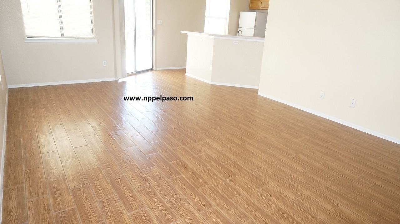 11721 Royal Banner Lane - Photo 3 of 14