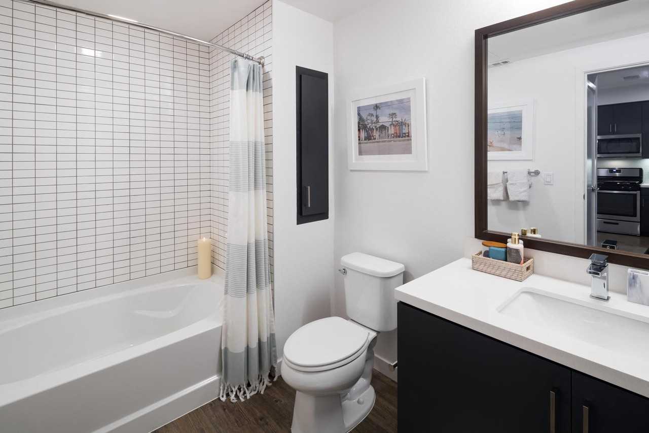 Alexan Webster - Photo 7 of 18