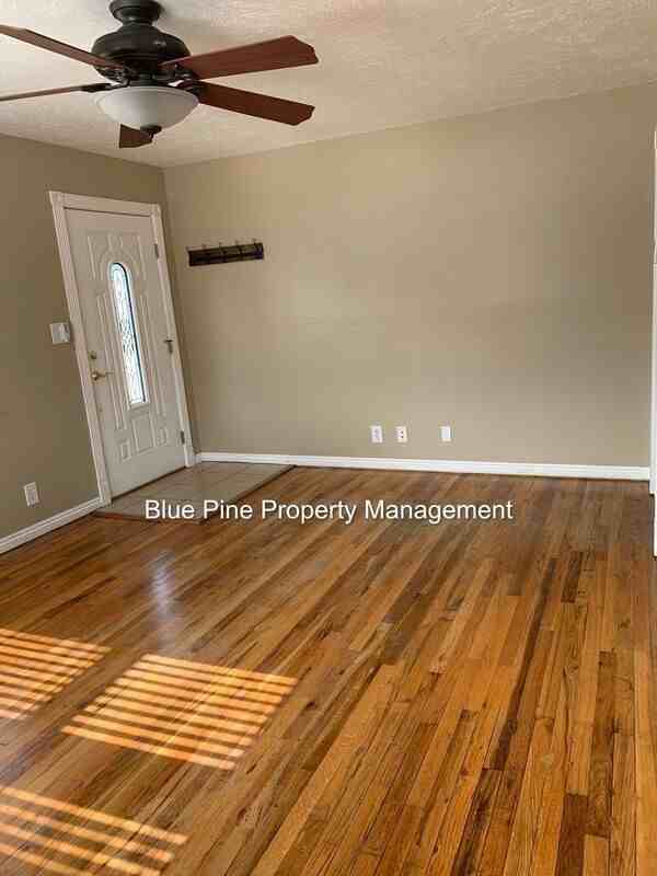 556 Warren Ave - Photo 4 of 19