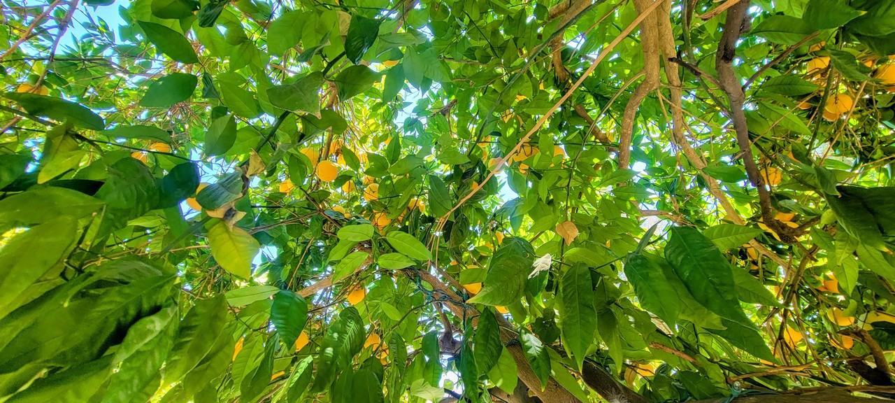 520 B St #NA - Photo 3 of 25