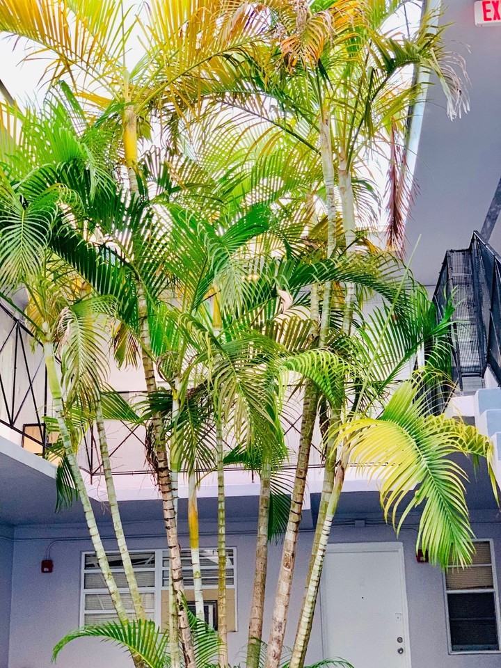 17031 Ne 21st Ave - Photo 5 of 18