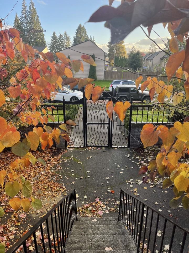 Allyce Apartments - Photo 2 of 4