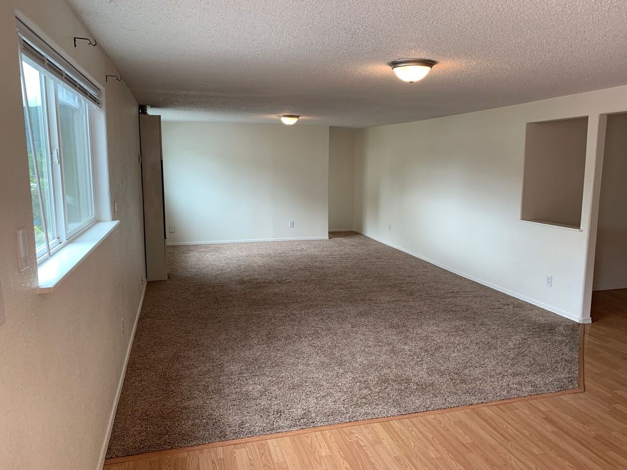 alc01 - Photo 2 of 13