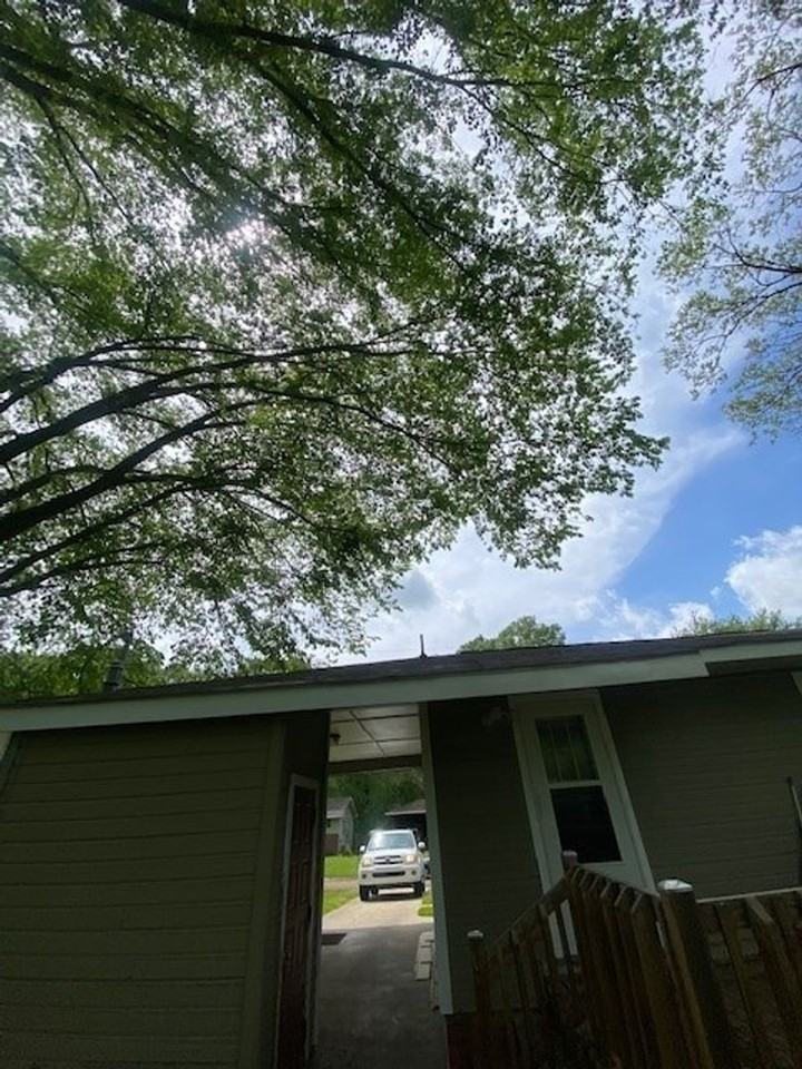 250 Winfield St - Photo 3 of 12