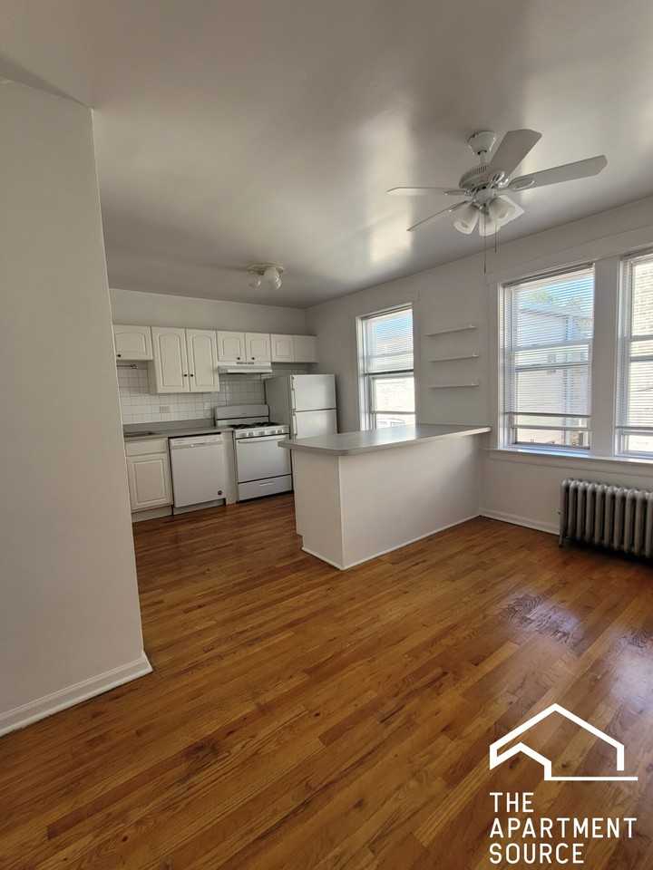 5028 North Springfield Avenue #2W - Photo 4 of 11