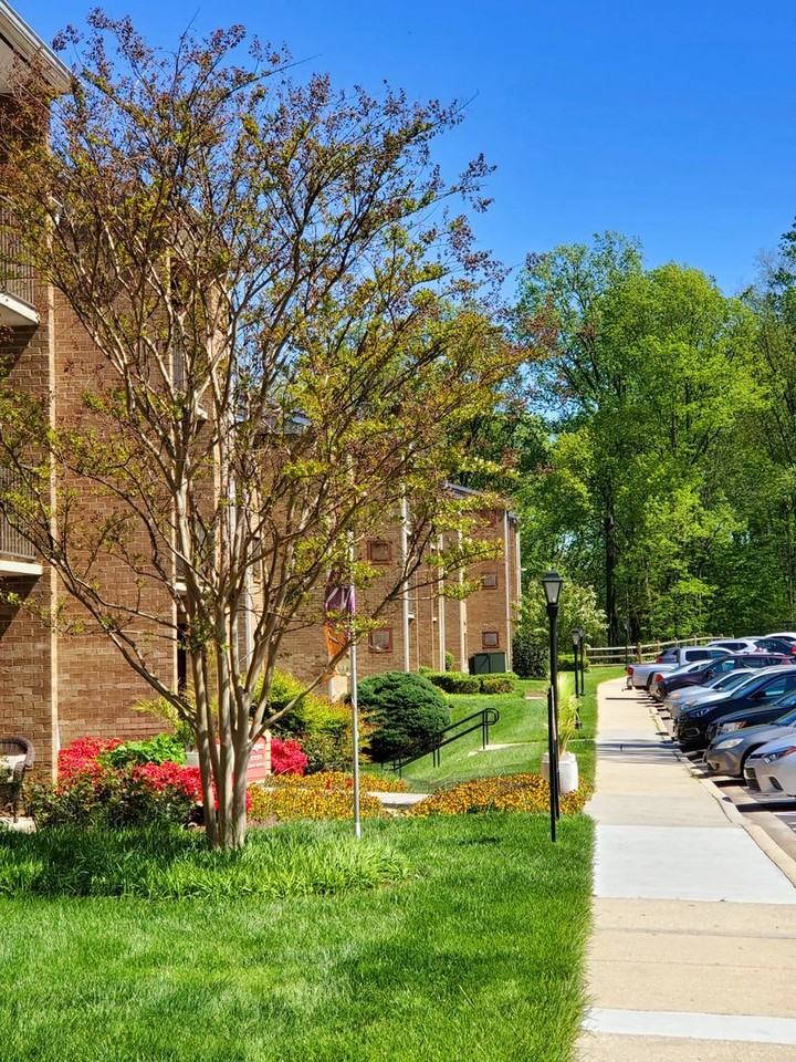 14207 Grand Pre Rd, Silver Spring, MD 20906 102 unit Rentals Zumper