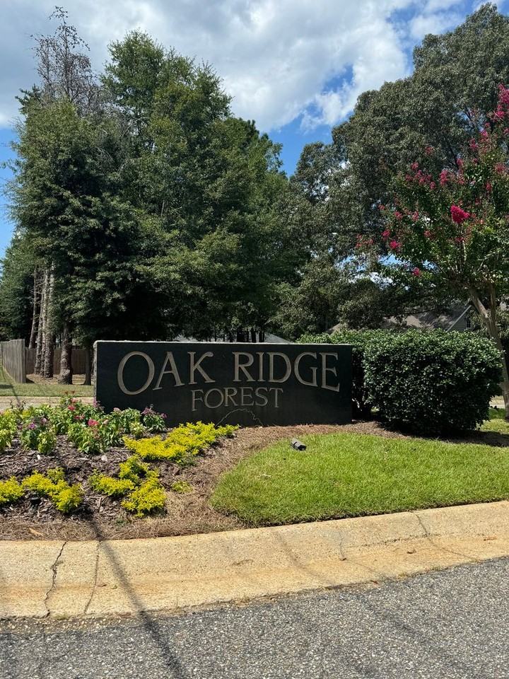209 S Oak Ridge Dr - Photo 2 of 16