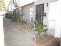 53 El Basset Ct - Photo 1 of 1