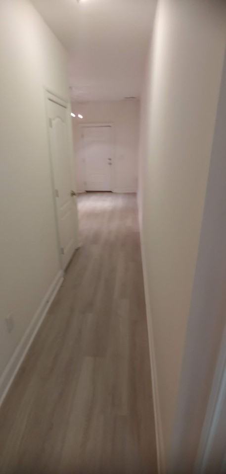 703 Holly St - Photo 6 of 17