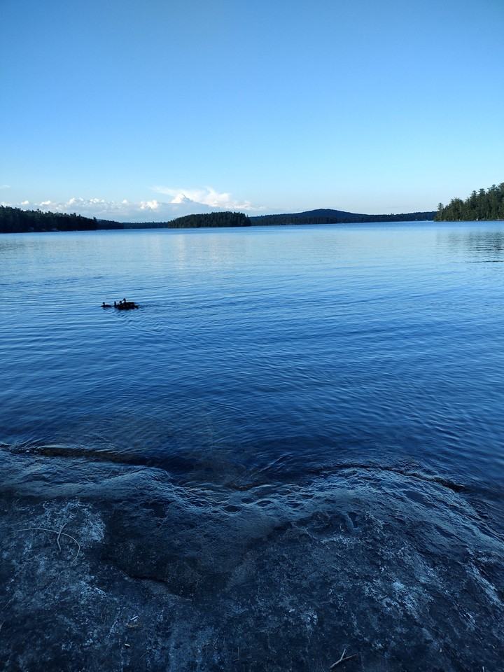 360 Stickney Hill Rd #NA - Photo 3 of 19