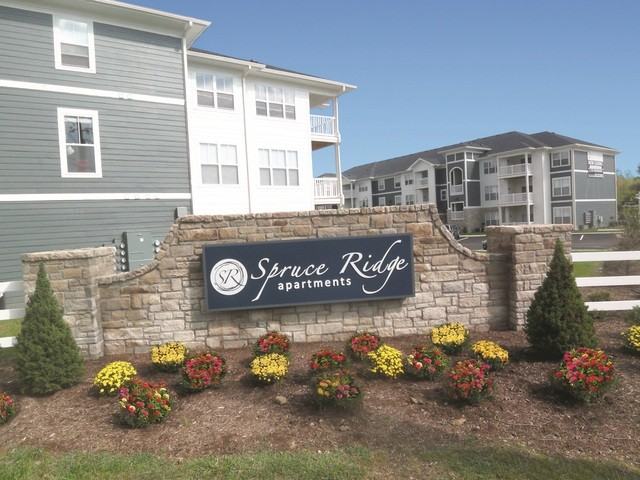 Spruce Ridge - Photo 3 of 17