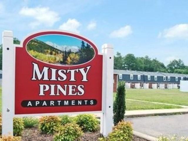 Misty Pines Townhomes - Photo 3 of 8