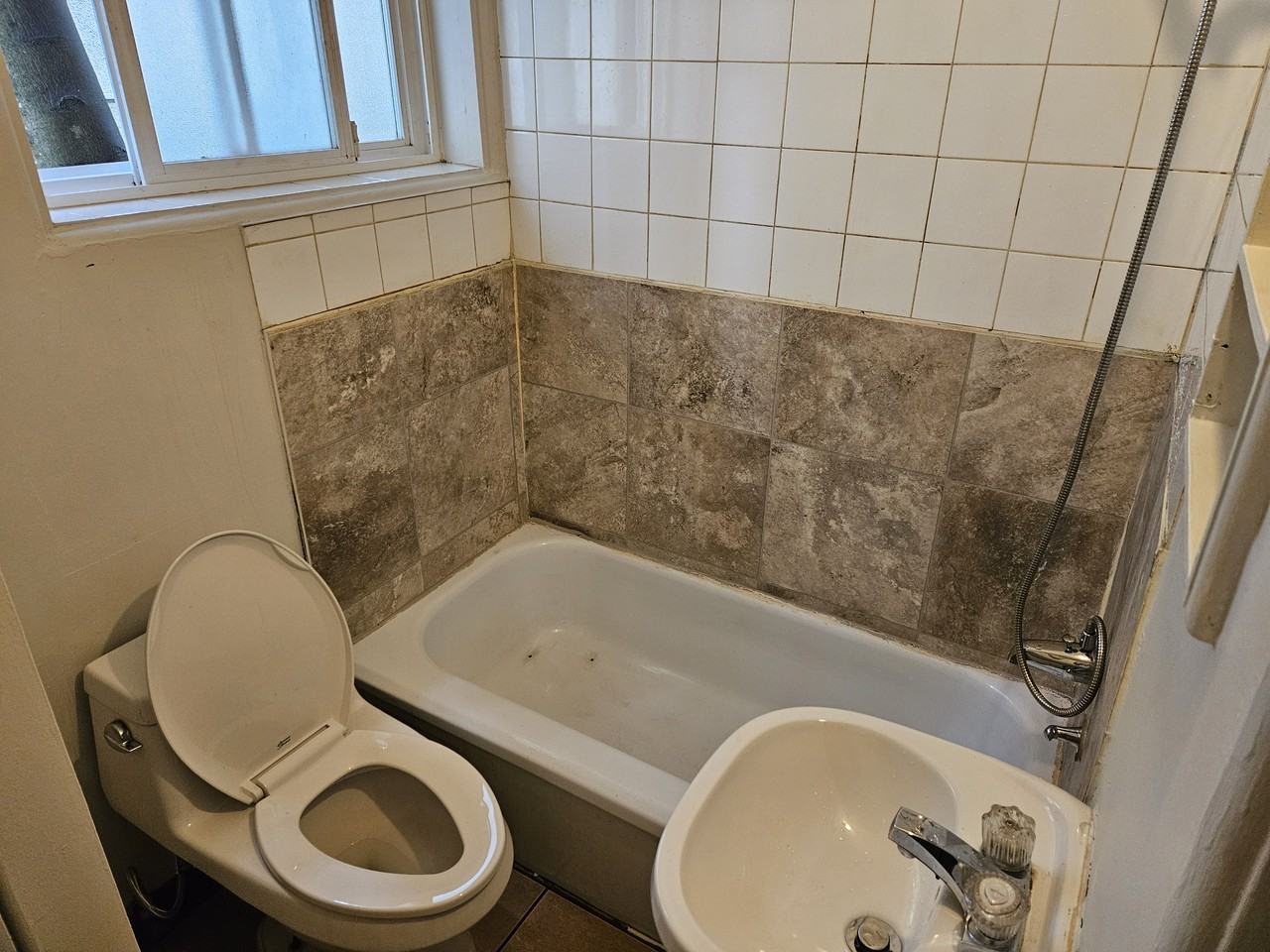 727 4th Avenue #6 - Photo 4 of 5