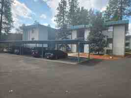 featured image of N Forest Blvd