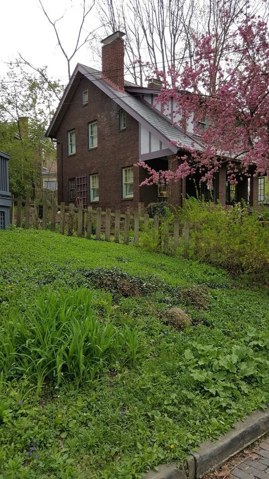 2120 Iuka Ave - Photo 7 of 50