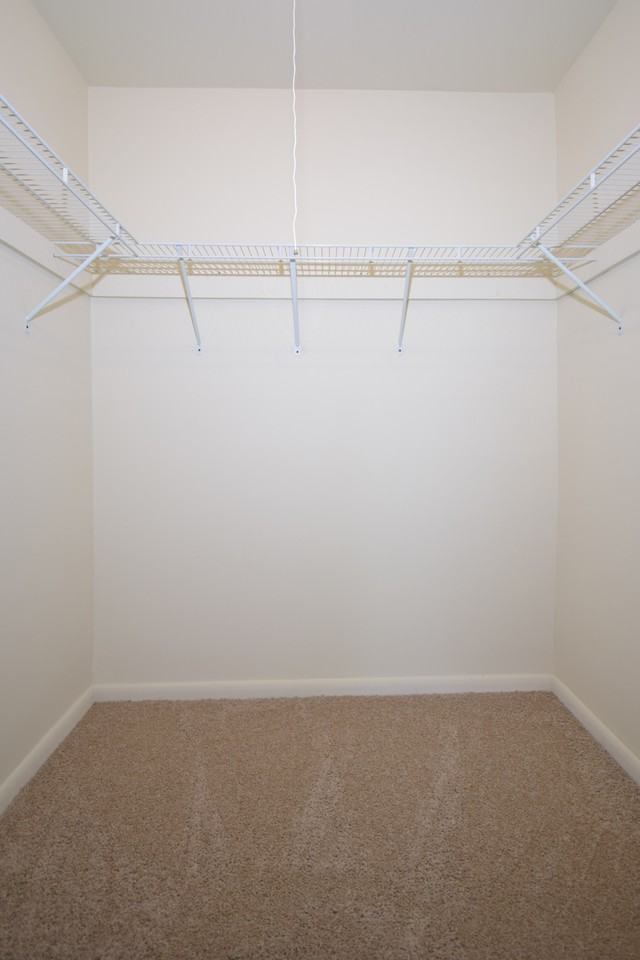 Fellowship Court - Photo 6 of 14