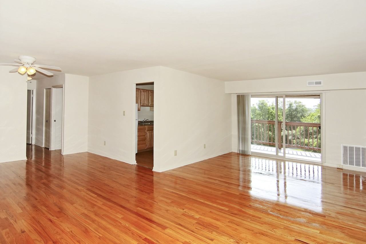 Hunter Hill - Photo 4 of 18