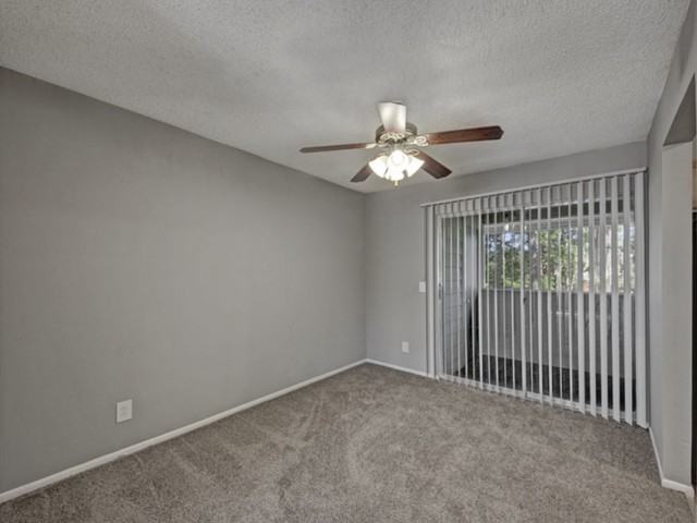 The Point at Arrowhead - Photo 4 of 16