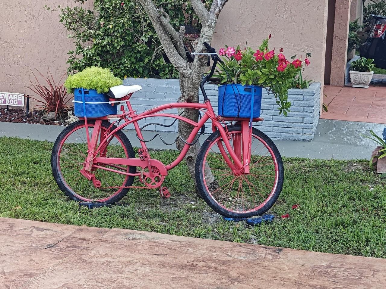 2835 Dewey St #NA - Photo 2 of 24