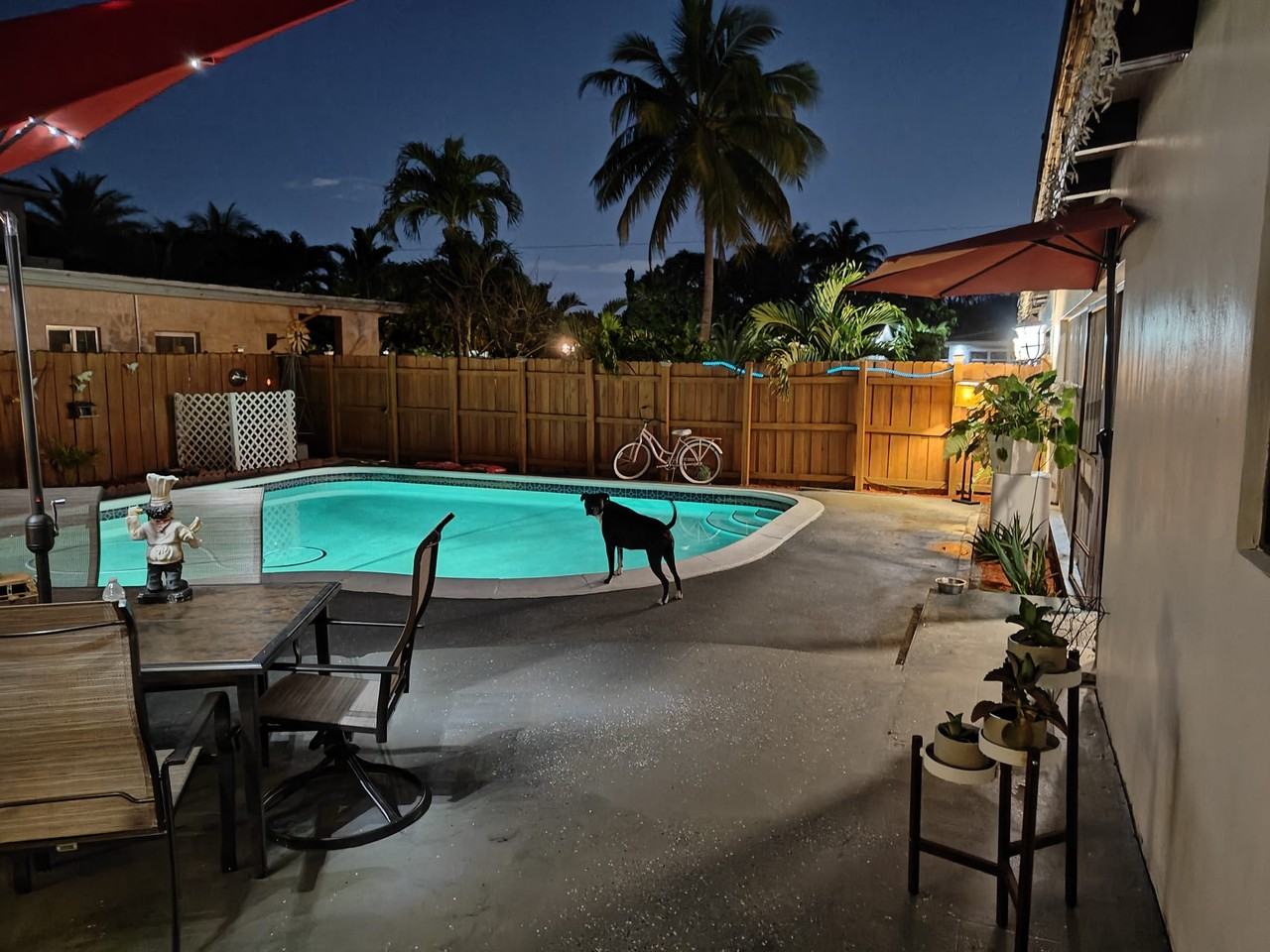 2835 Dewey St #NA - Photo 6 of 24