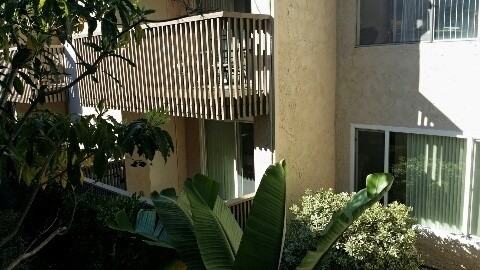 8650 Via Mallorca #A - Photo 2 of 14