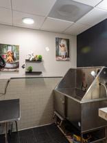 252 Broadway - Photo 1 of 1