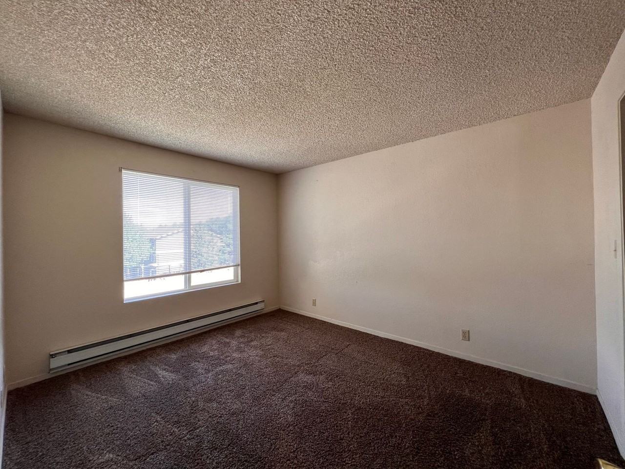 3935 Clear Acre Ln - Photo 7 of 16