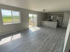 Moonlit Moss - Photo 1 of 1