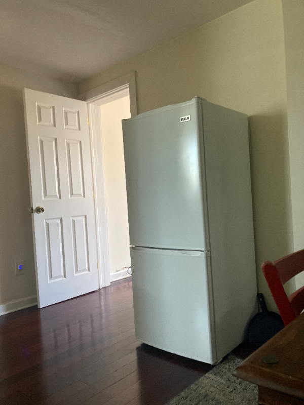 1908 Aliceanna Top Floor - Photo 3 of 8