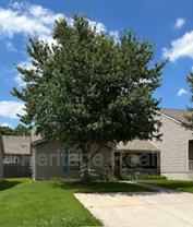 8617 Little Field Way - Photo 1 of 1