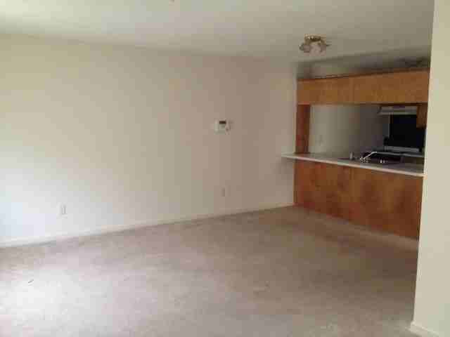 244 Lawrence St - Photo 3 of 7