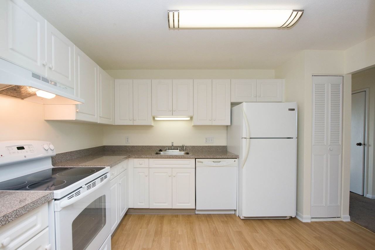 Chestnut Hill South - Photo 6 of 37