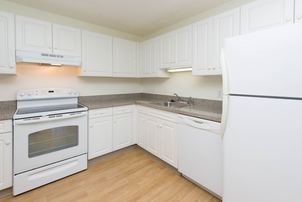 Chestnut Hill South - Photo 5 of 37