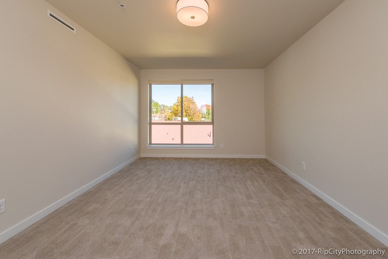 The Macadam - Photo 6 of 50