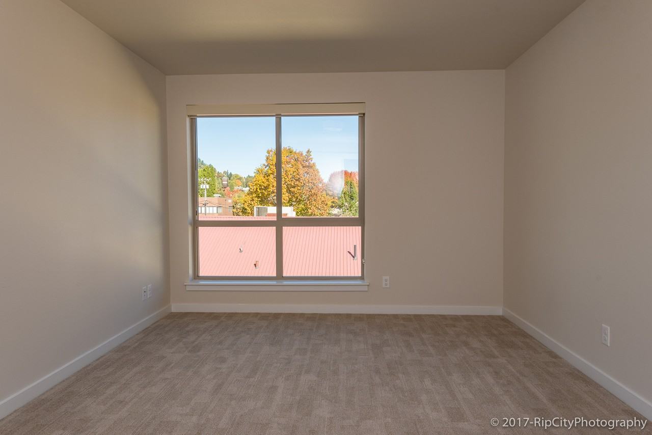 The Macadam - Photo 7 of 50